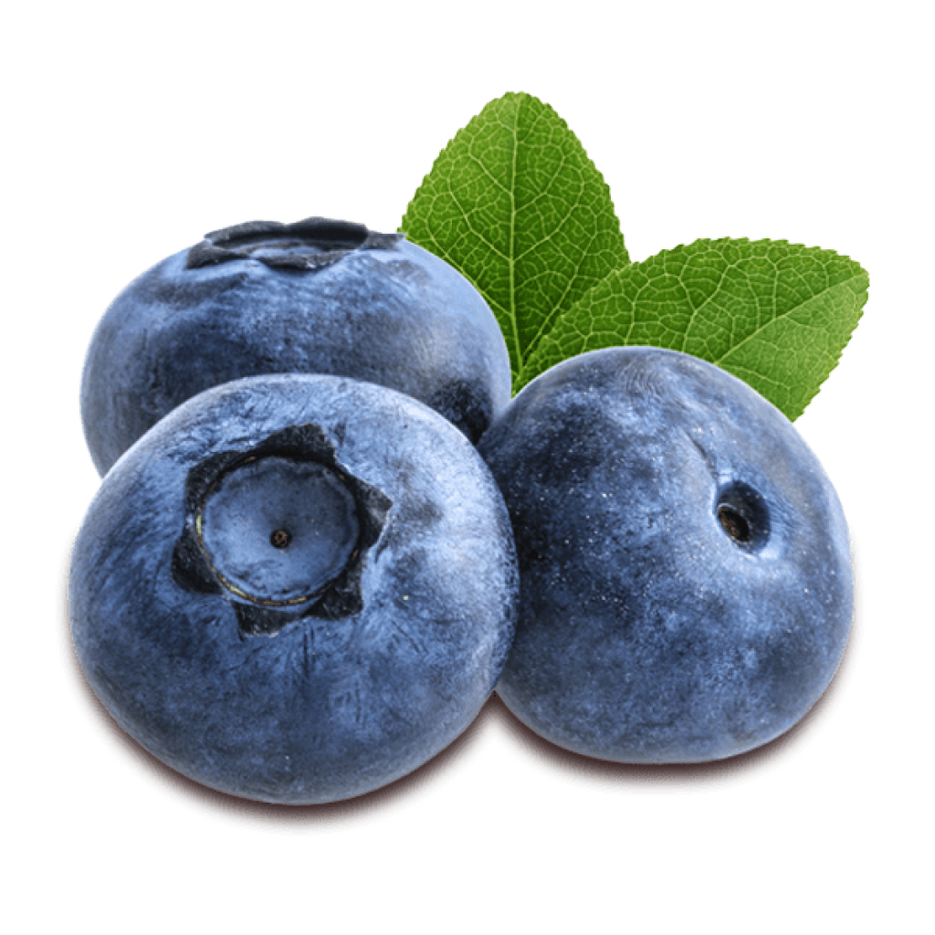 Blueberries – Vegita GH